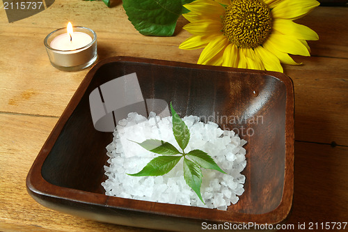 Image of Wooden Spa