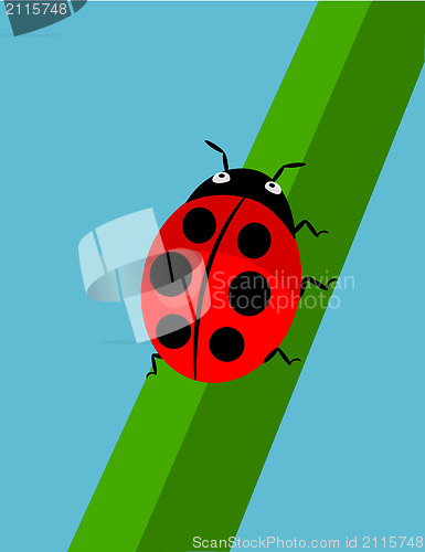 Image of Cartoon Ladybug