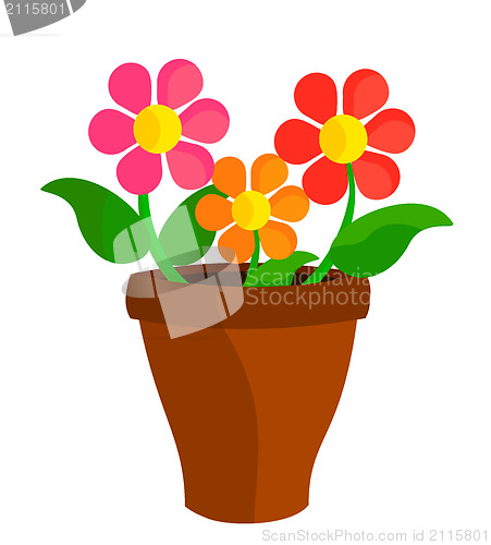 Image of Flowers in pot