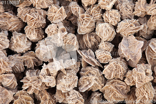 Image of Desert roses