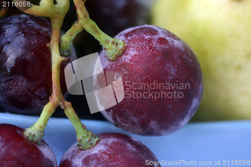 Image of Grape berry