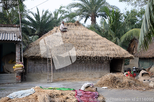 Image of After the rice harvest, repairing the thatched roofs in Kumrokhali, West Bengal, India