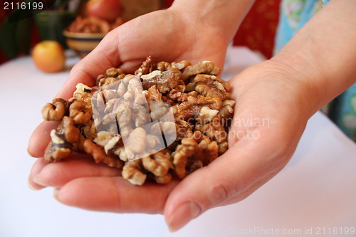 Image of palms full of ripe seeds of walnuts