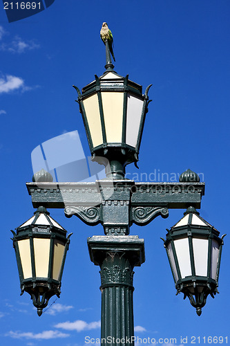 Image of old green street lamp and parrot 