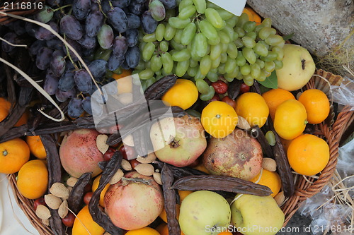 Image of Autumn Harvest