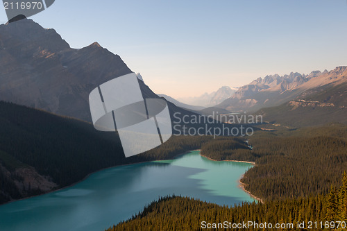 Image of Peyto lake