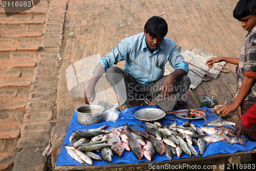 Image of Selling a fish on fish market in Canning, West Bengal, India