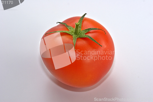 Image of Tomato