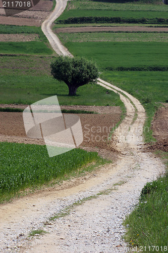 Image of Winding road