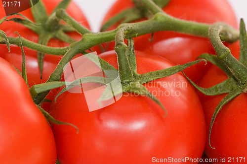 Image of Tomatoes