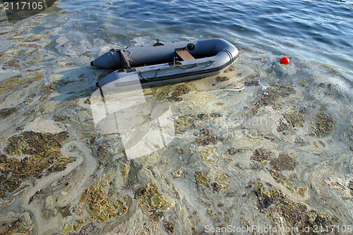 Image of Contaminated sea