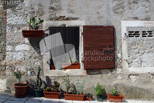 Image of Old house with flowers