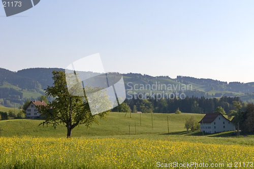 Image of Farm