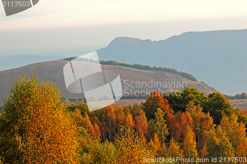 Image of autumn morning