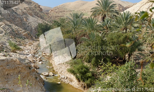 Image of Wadi Qelt or Nahal Prat creek in Judean Desert near Jericho  in spring