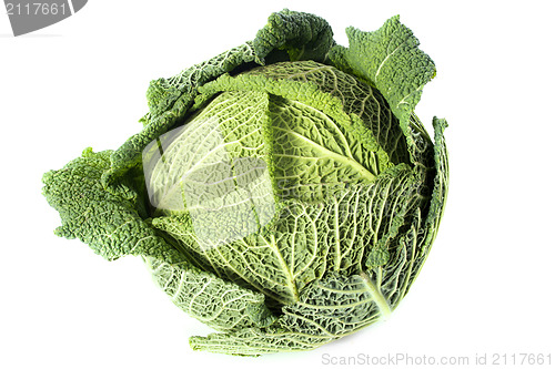 Image of fresh cabbage