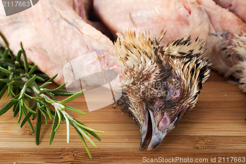 Image of quail and rosemary