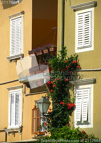 Image of Four white Mediterranean windows