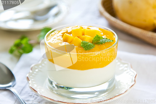 Image of Mango  yogurt