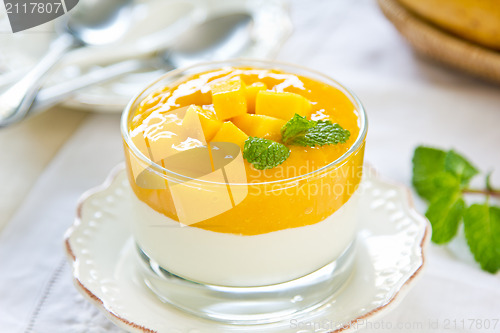 Image of Mango  yogurt