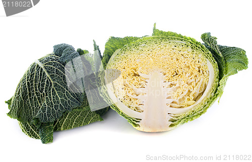 Image of fresh cabbage
