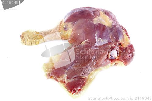 Image of duck leg
