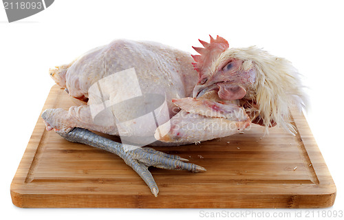 Image of Bresse chicken