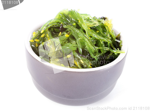Image of bowl of algae