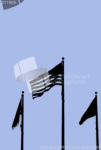 Image of Flags