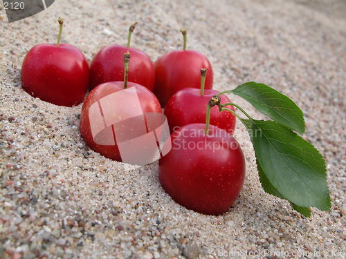 Image of plums