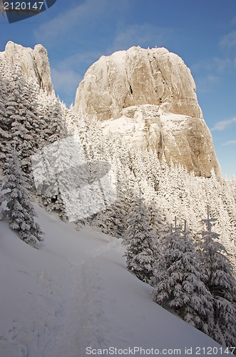 Image of White landscape