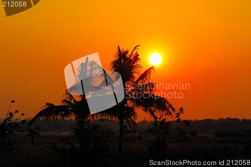 Image of sunset and coconut tree