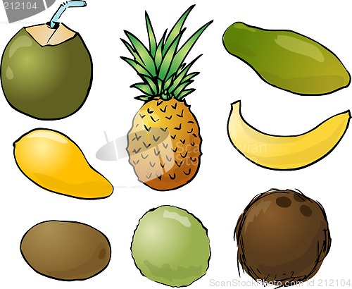 Image of Tropical fruits illustration