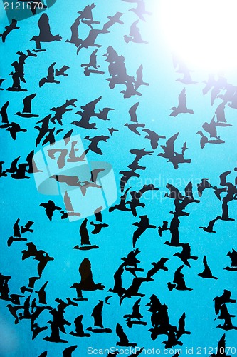 Image of Set of silhouettes of birds on a blue background