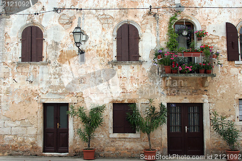 Image of Old house with flowers