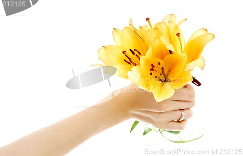 Image of female hand holding yellow madonna lily bouquet