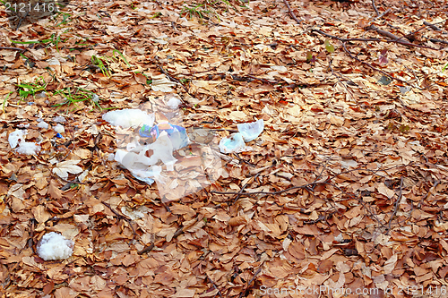 Image of garbage in the forest