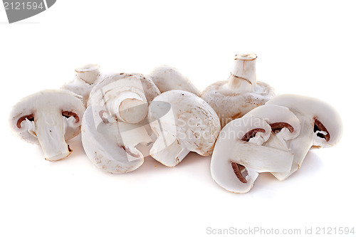 Image of button mushrooms