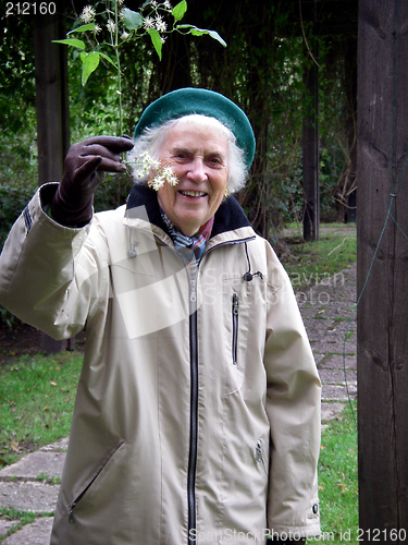 Image of Senior Gardener