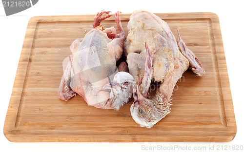 Image of pigeon meat