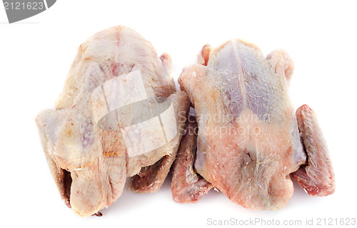 Image of partridge meat