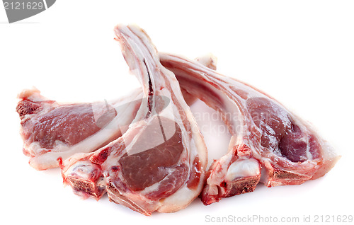 Image of lamb chops