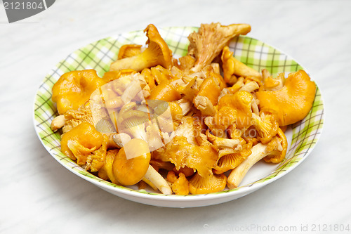 Image of fresh chanterelles