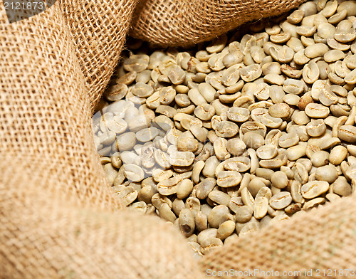 Image of raw coffee beans