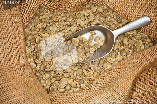 Image of raw coffee beans