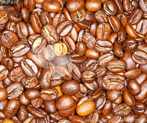 Image of coffee beans