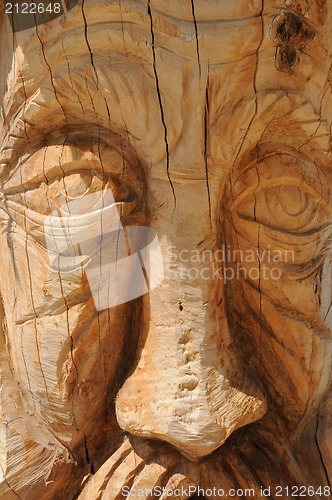 Image of Carved in Wood