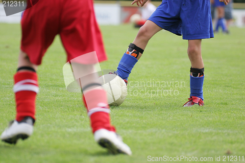 Image of Young soccer players