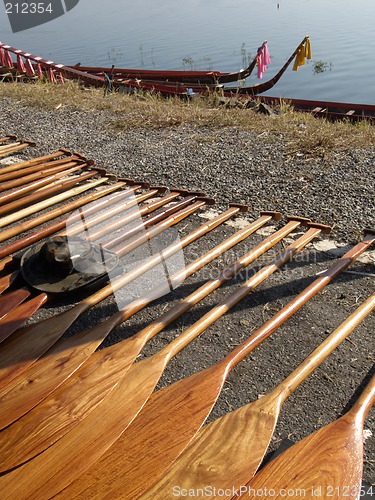 Image of Oars for a dragonboat competition