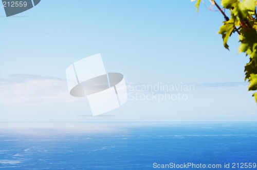 Image of Ocean
